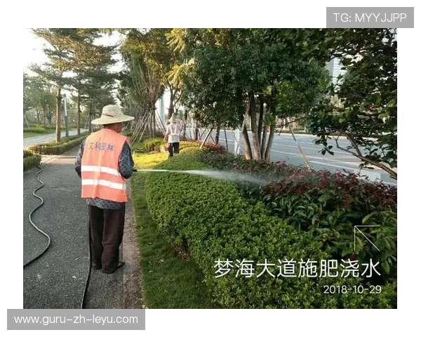 世界板球技术研究院发布草皮耐寒养护建议